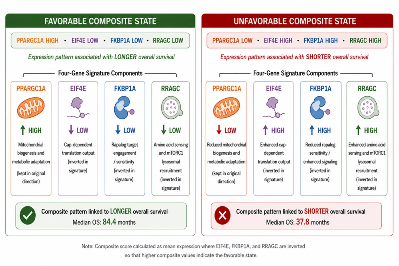 The two composite states — favorable and unfavorable — across PPARGC1A, EIF4E, FKBP1A and RRAGC