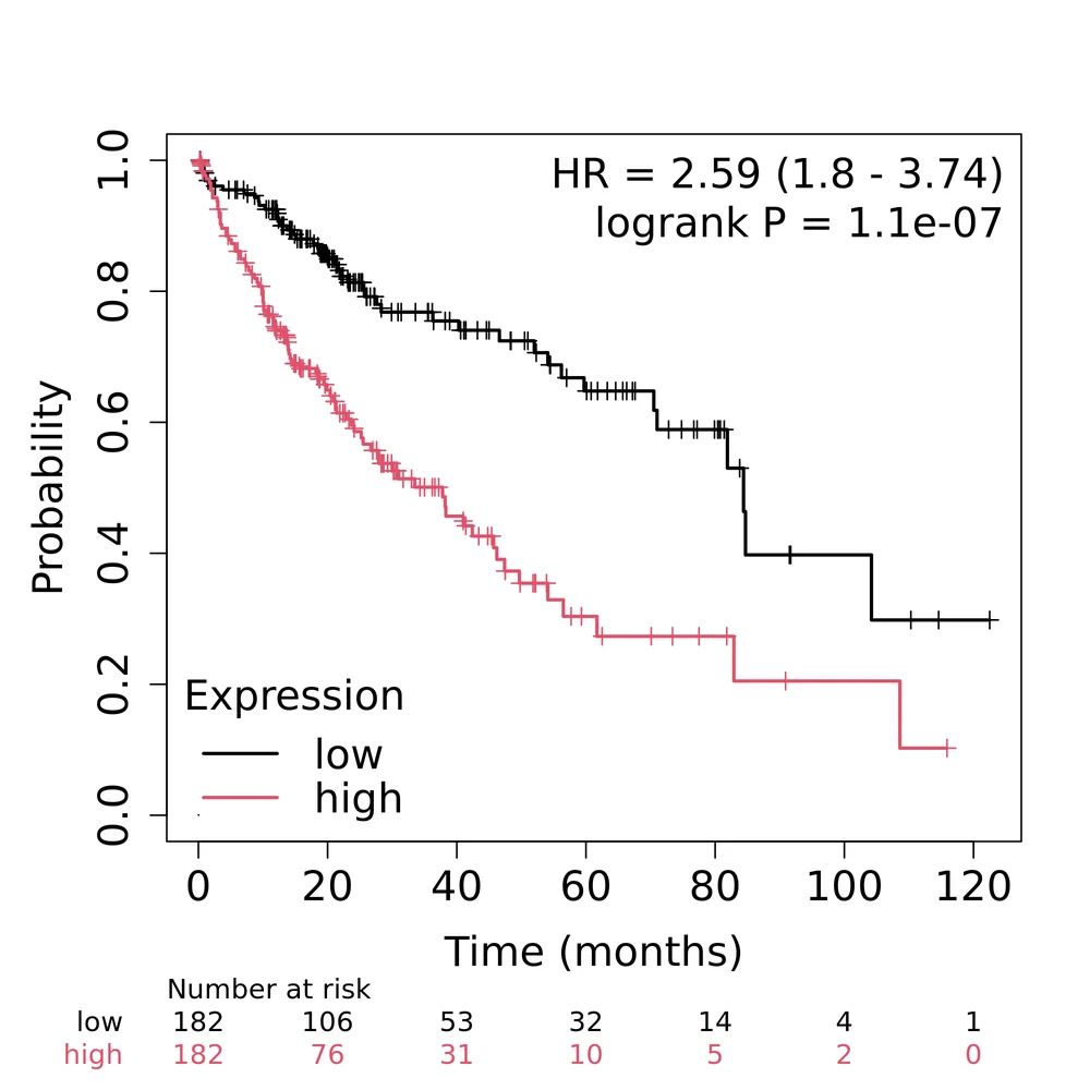 Kaplan-Meier curves for the four-gene mTOR composite in hepatocellular carcinoma, 364 patients