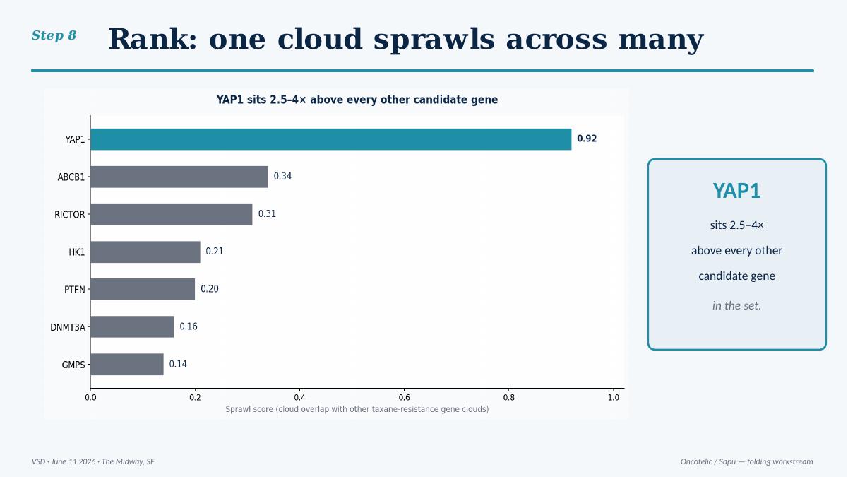 YAP1 ranks 0.92 sprawl score, 2.5-4x above every other gene