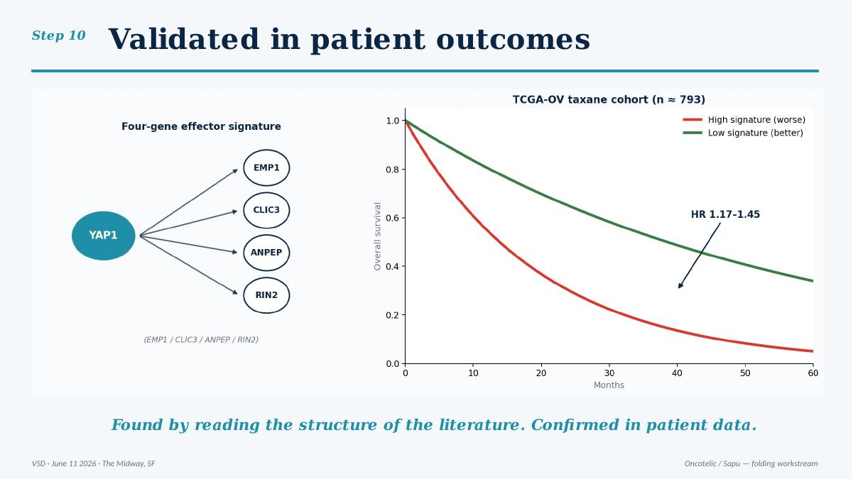 TCGA-OV taxane cohort — high vs low YAP1 signature survival curves